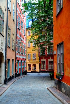 an alley way with buildings and trees on both sides, in the middle of town