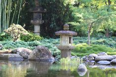 a small pond surrounded by rocks and plants