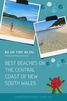 the beach with pictures of people on it and text reading read the blog best beaches on the central coast of new south wales