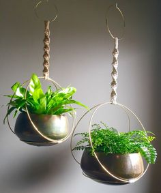 two hanging planters with plants in them