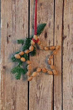 a star made out of nuts hanging on a wooden fence with pine cones and red string