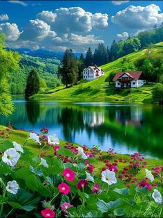 flowers are blooming in front of a lake with houses on the hill behind it