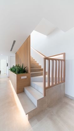 there is a planter on the top of some stairs in this house with white walls and flooring