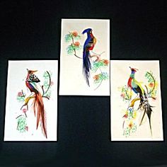 four paintings of colorful birds are displayed on a black surface, with one bird in the foreground