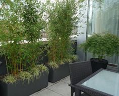 there are many plants in the planters on this patio area that is very tall