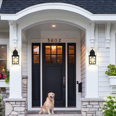 a dog sitting in front of a house