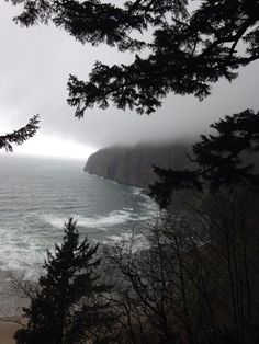 the ocean is very choppy and foggy with some trees in front of it