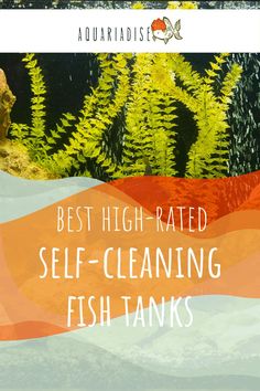 the words best high - rate self - cleaning fish tanks in front of an image of plants