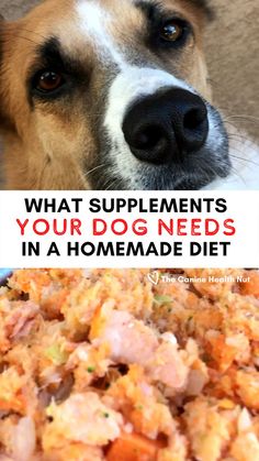 What supplements your dog needs on a homemade diet. BY the canine health nut. Diy Dry Dog Food, Homestead Dog Food, Homage Dog Food, Veterinarian Approved Homemade Dog Food, Fresh Dog Food Recipes For Large Dogs, Vet Approved Homemade Dog Food Recipes, Homemade Dog Supplements, Homemade Dog Food Supplements, Diy Dog Supplements