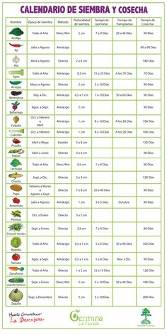 the spanish calendar with different fruits and vegetables