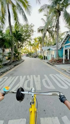 a person riding a bike down a street with palm trees on both sides and houses in the background