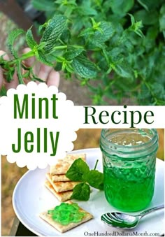 the mint jelly recipe is ready to be eaten