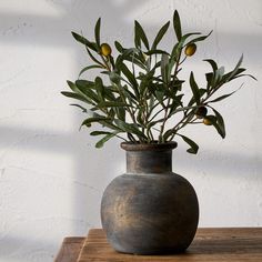 a potted plant sitting on top of a wooden table