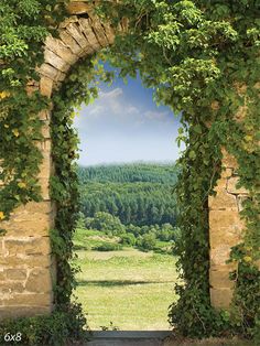 Rustic Archway Overlooking the Countryside Photography Backdrop - Photography backdrop of a stone archway with ivy Countryside Photography, Portable Backdrop, Stone Archway, Wooden Castle, Romantic Couples Photography, Gravel Garden, Stone Arch, Vinyl Backdrops, Garden Pathway