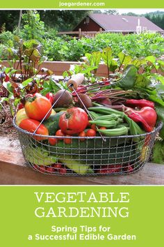 a basket filled with lots of vegetables sitting on top of a wooden bench next to a garden