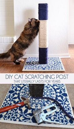 a cat scratching post with tools on the floor