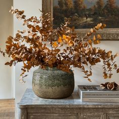 a vase filled with leaves on top of a table next to a bookshelf