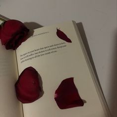 an open book with some red flowers on it