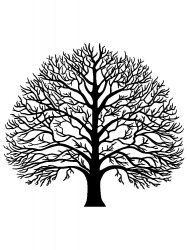 the silhouette of a tree with no leaves on it is shown in black and white