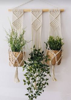 three macrame plant hangers with plants in them hanging on a white wall