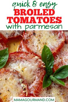 grilled tomatoes with parmesan cheese and basil are the perfect side dish for any meal