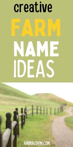 the words creative farm name ideas are in front of a photo of a fence and grassy field