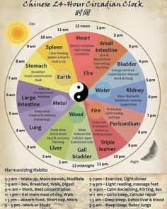 Meridian Clock, Chinese Body Clock, Energy Movement, Chi Energy, Eastern Medicine, Body Clock, Reiki Symbols, Energy Medicine, Qi Gong