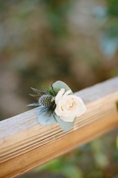 a small white flower sitting on top of a wooden rail