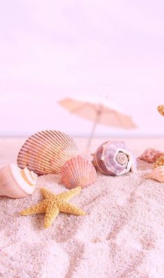 seashells and starfish on the beach with an umbrella