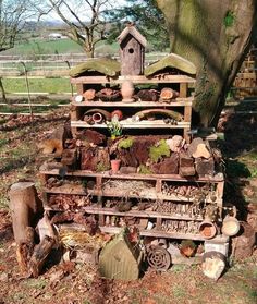 there is a birdhouse made out of wood and other things in the yard next to a tree