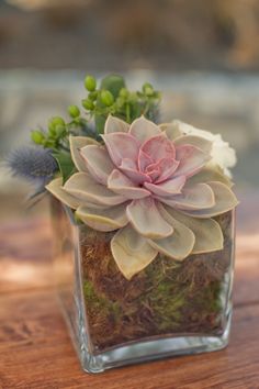 a glass vase filled with plants on top of a wooden table