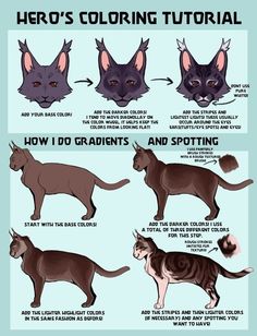 the different types of cats that can be seen in this graphic style, including black and brown