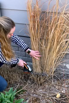 a woman kneeling down next to a bush