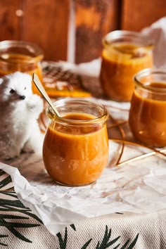 small glass jars filled with peanut butter sit on a table next to a hamster