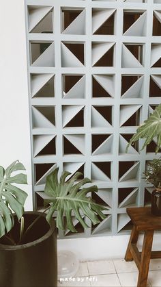 two plants are sitting in front of a white wall with geometric designs on it and a wooden bench next to the planter