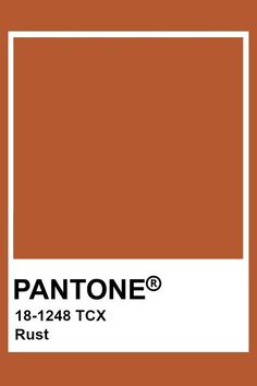 Pantone Orange, Pantone Colour Palettes, Rooibos Tea, Dorm Ideas, Color Chip