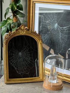 there is a spider web on the table next to it's glass dome and framed photograph