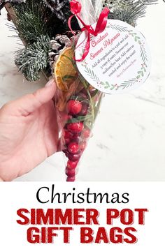 someone is holding up a christmas pot gift bag with berries and pine cones in it