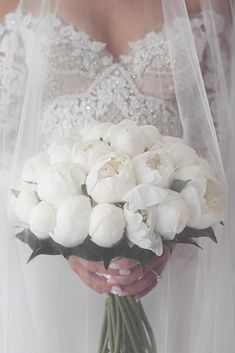 a bride holding a bouquet of white flowers