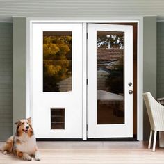 a dog sitting on the floor in front of a white door with glass paneling