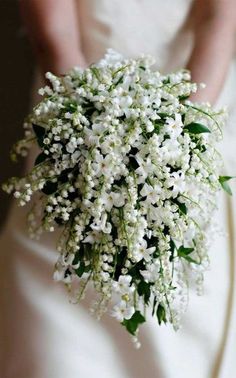 the bride's bouquet is made up of white baby's breathflowers