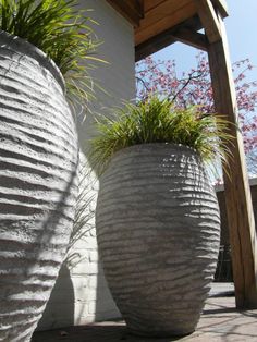 two large white vases with plants in them