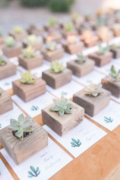 small succulents are placed in wooden blocks on a table with place cards