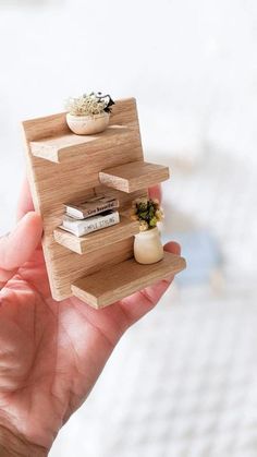 a hand holding a miniature wooden shelf with books and plants on it's sides