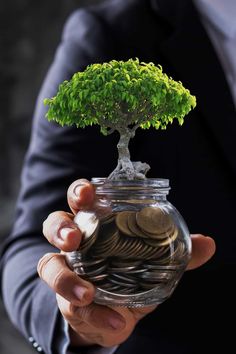 a man holding a jar filled with coins and a bonsai tree growing out of it