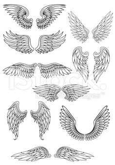 an image of angel wings in different positions