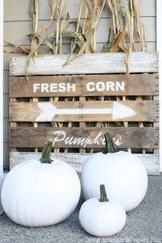 three white pumpkins sitting in front of a wooden sign with fresh corn on it