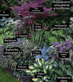 a garden with different types of plants and names on the planter's side