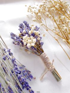 dried lavenders and other flowers on a white surface