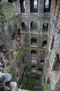 the inside of an old building with lots of windows and moss growing on the walls